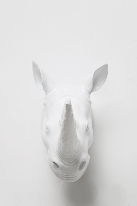 KARE Deko Kopf White Rhino 30410