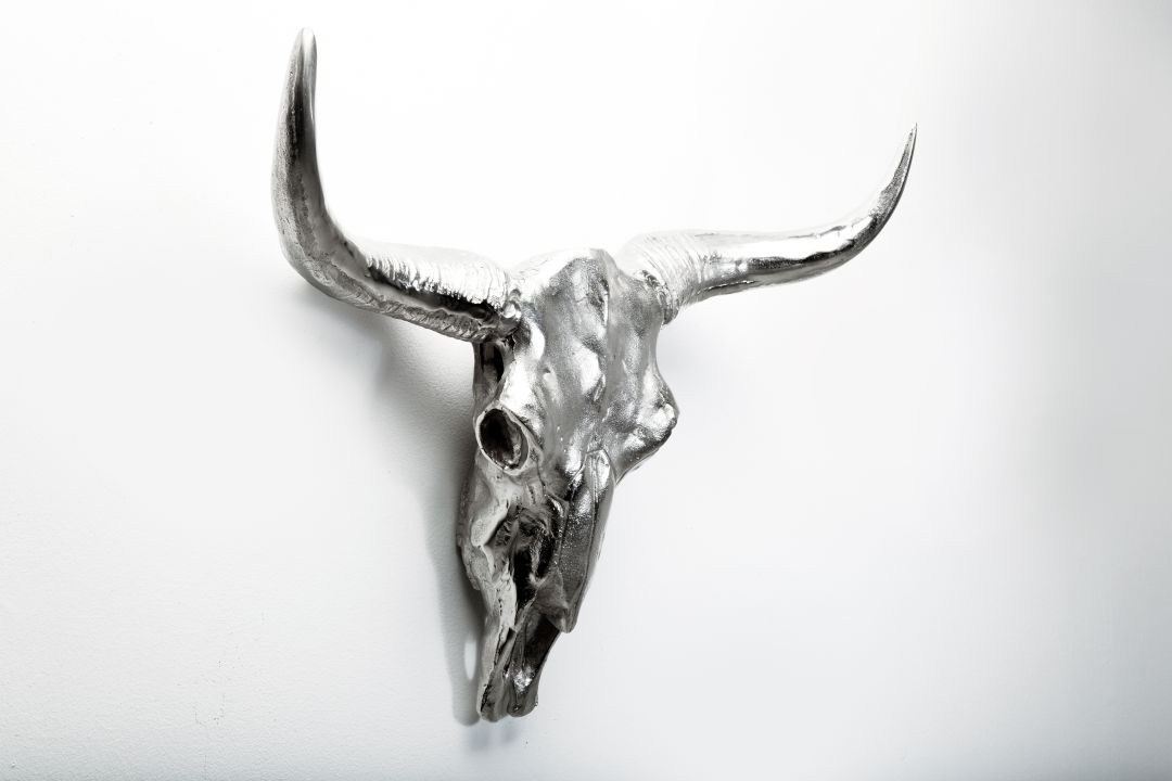 KARE Deko Geweih Scull Horn Alu 34395